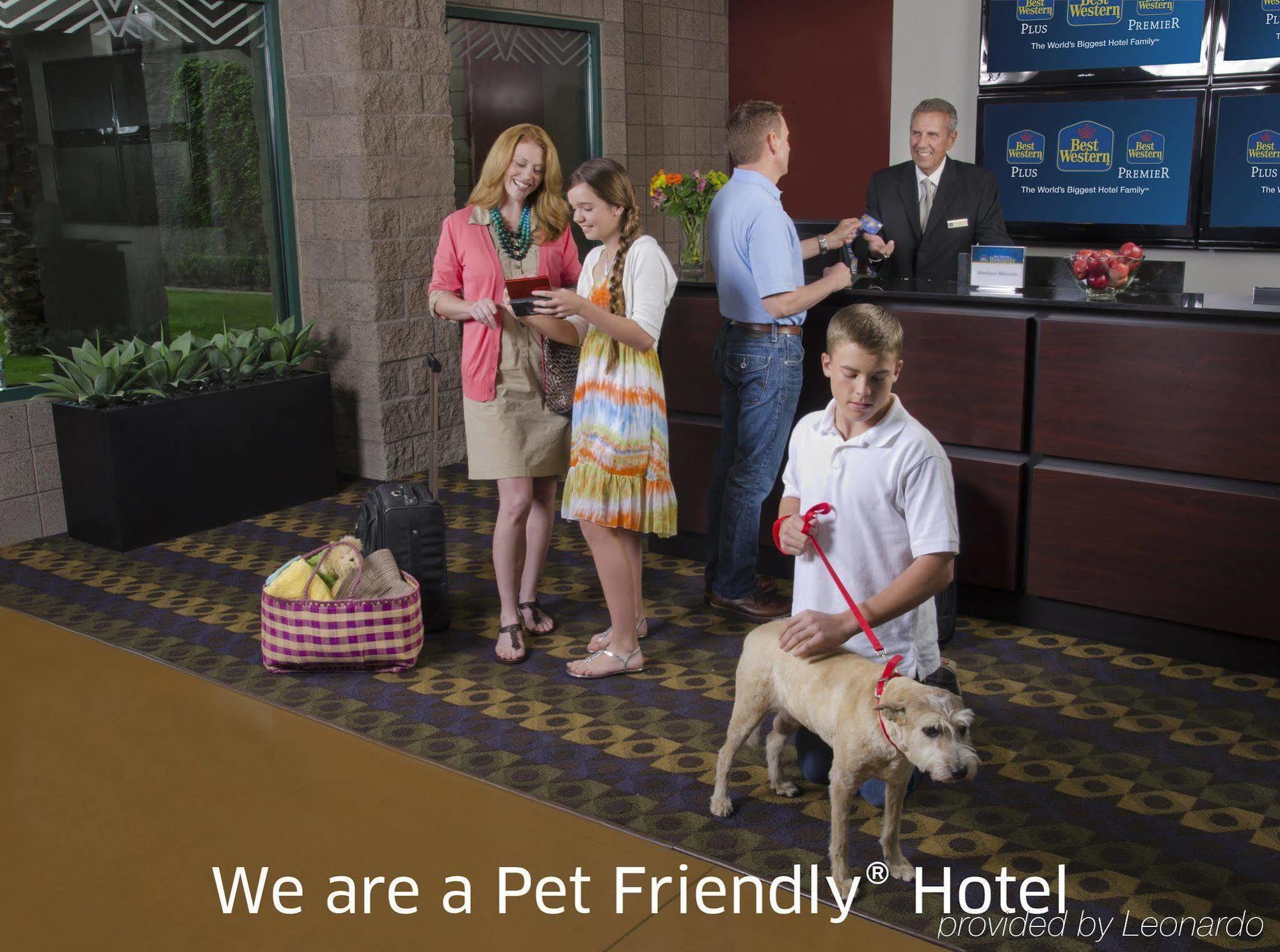 Clarksville Best Western Sherwood Inn מראה חיצוני תמונה